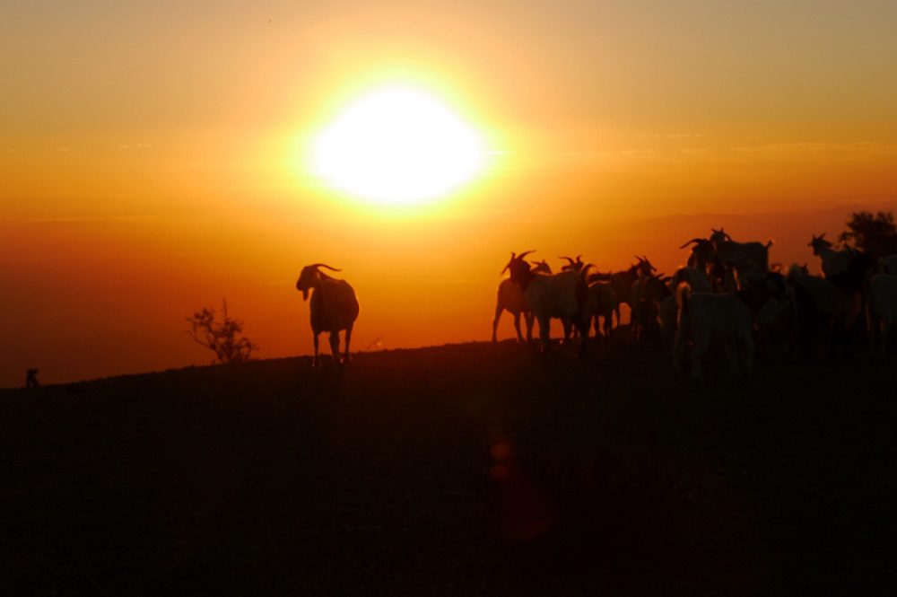 Seminar Reise Sonnenuntergang